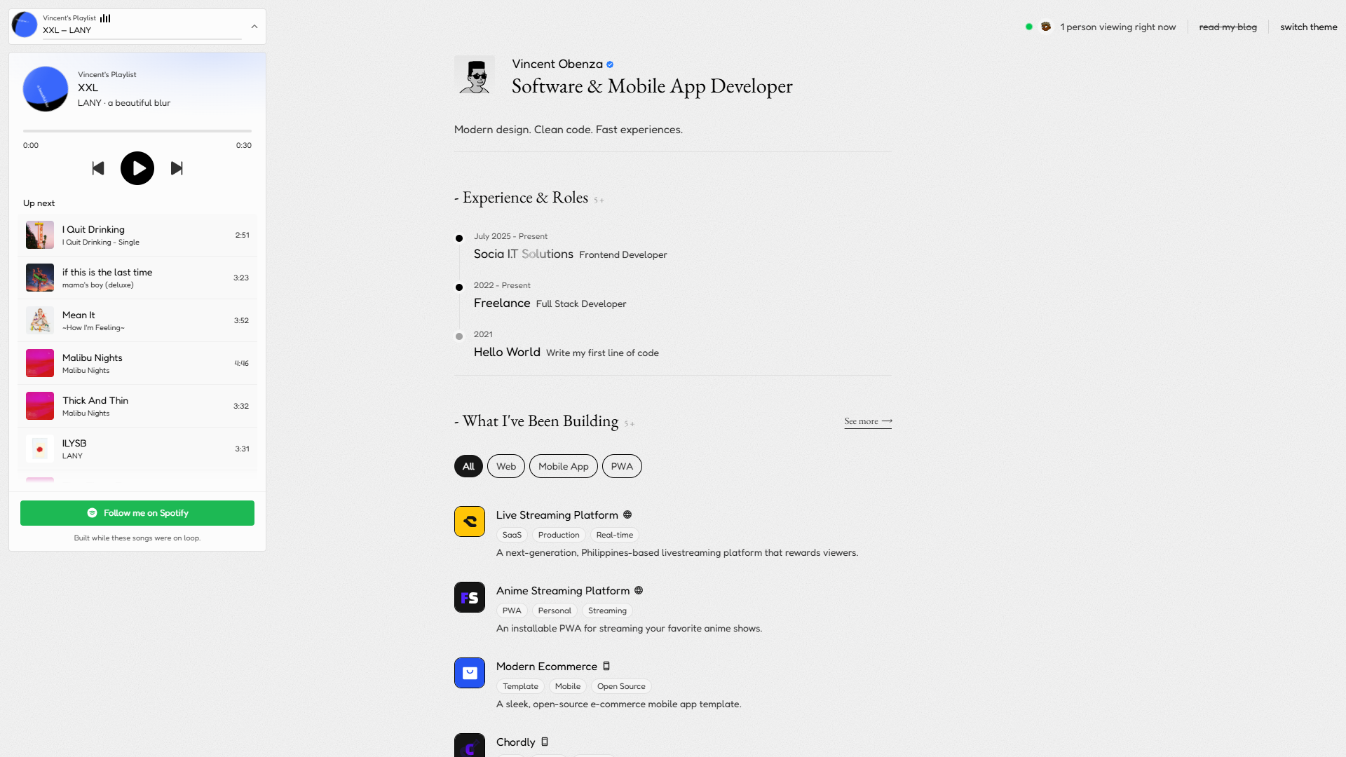 Developer Portfolio preview 4