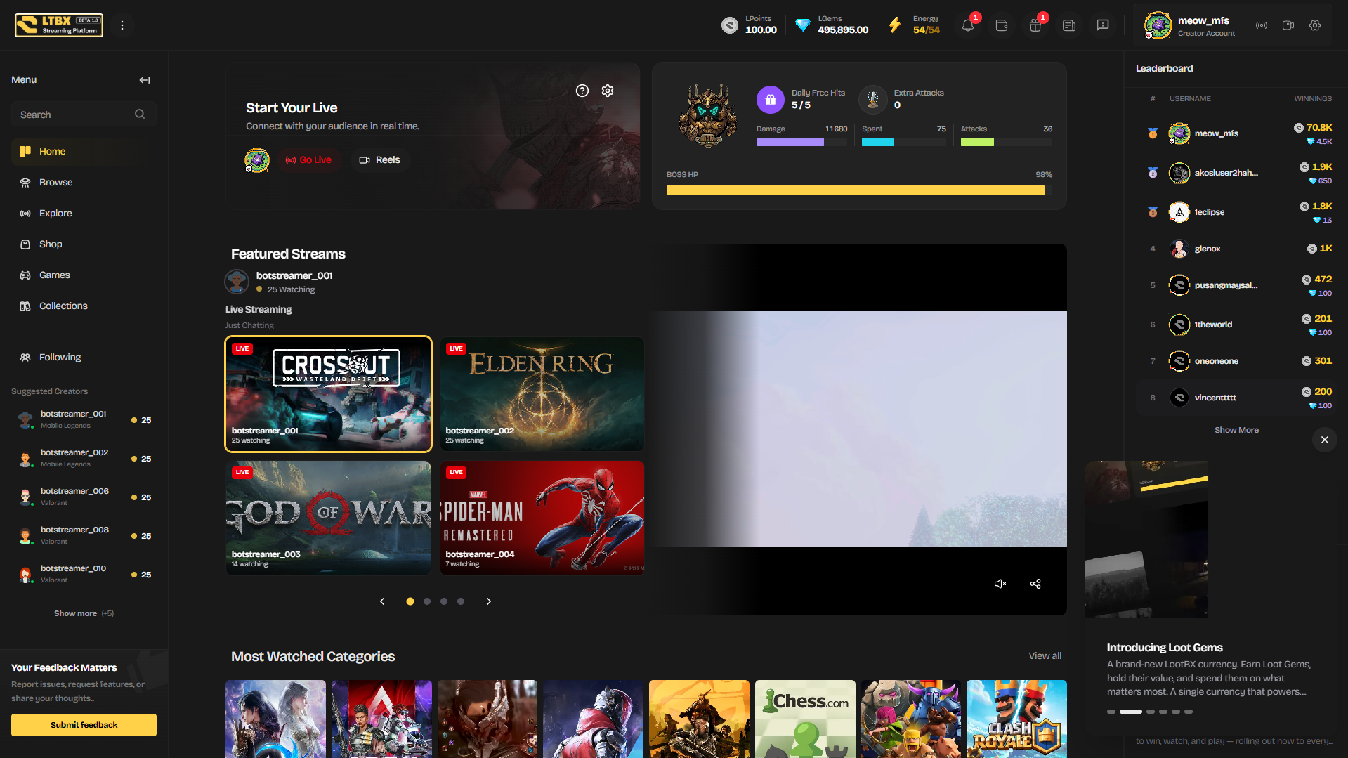 Live Streaming Platform preview 1
